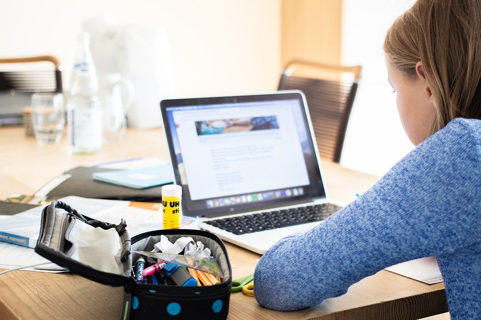 a student seeking homework online