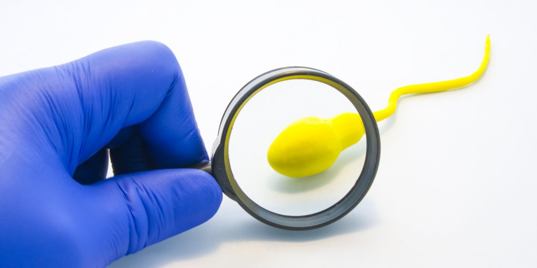 sperm count